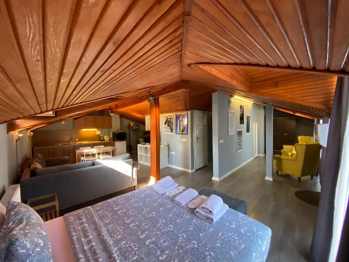 Flats Company - Karakoy Apartment Istanbul