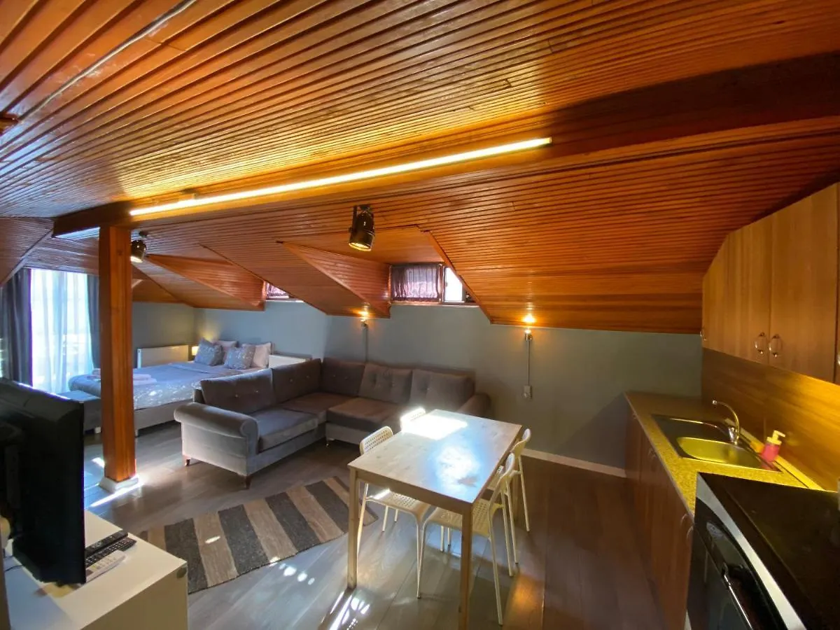 Flats Company - Karakoy Apartment Istanbul Turkey